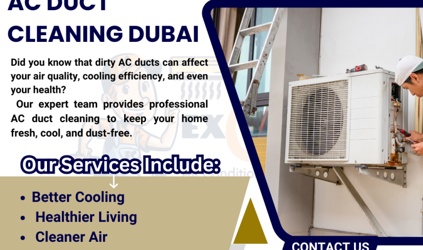 Professional AC Duct Cleaning Dubai: Your Ultimate Guide to Fresh Air and Healthy Living